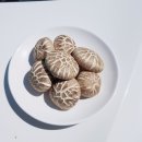 운악농원
