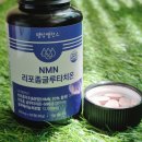 흡수율이 다르다? 전구체 NMN 리포좀 글루타치온으로 활력 되찾기