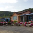 느티나무펜션 이미지