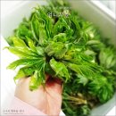 순겸농장 이미지