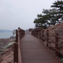 삼천포 코끼리길 이미지