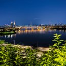 서13-402 이미지