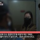 이상한 식물나라 이미지