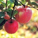 신도림삼성쉐르빌 1 이미지