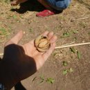 노아농장 이미지