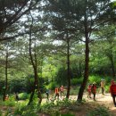 529회 일요걷기(11월12일) 연신내역에서 매봉산능선 오르고 가을 단풍숲길따라 서오릉의 가을 숲길 서어나무길로 걷겠습니다 이미지