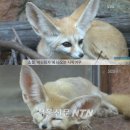 올망졸망 이미지