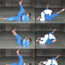 플라워 짐 이미지