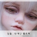 파라이소 이미지