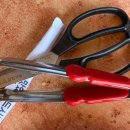 동심식당 | [울진] 전복죽만 파는 로컬맛집 ‘동심식당’ 후기