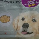 주식회사 데이원 이미지