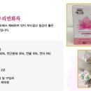 예그린파크 이미지