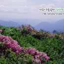 심상치료본원센터 이미지