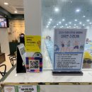 노블스위밍랩 이미지