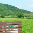 아이마미한의원 이미지