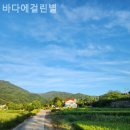 바다에걸린별 이미지