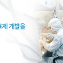 에스엠티(SMT) 대한