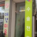 모래내동물병원 네이버블로그