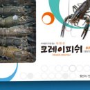 서진씨푸드 이미지