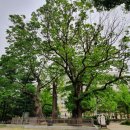 느티공원 이미지