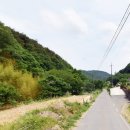 미현리농장 네이버블로그