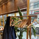 압구정 마라샹궈 맛집 “샤오당쟈마라탕 신현대점” 메뉴&amp;영업시간&amp;예약&amp;후기 렛츠기릿
