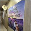 강아지에 빠지다 이미지