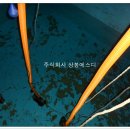주식회사성실