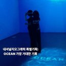 <내셔널지오그래픽 특별기획: OCEAN 가장 거대한 기록> 관람 생생 후기(바다야 미안해!)