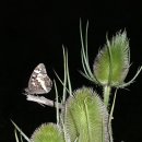 산토끼노래동산 이미지