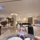 월드파크 | 제주 서귀포 호텔:가성비 좋은 신화월드 랜딩관과 신화월드 테마파크 후기