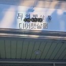 디어펫살롱