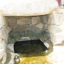 고령초등학교 티스토리