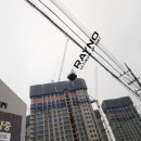 에이스카프라자 이미지