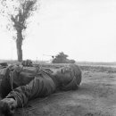 용주농장 이미지