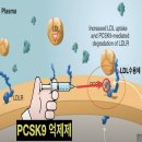 고지혈증 주사 치료 이미지