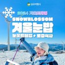 승우여행사 이미지