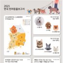 [2023 대한민국 대학생 광고대회 KOSAC 후기 및 수상 실패 요인 분석]