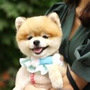 (주)비에네스소프트 이미지