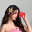 이당당 이미지