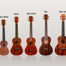 [주말]우쿨렐레 이미지