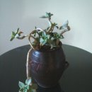 옹기의 만남 이미지