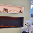 서울메이치과병원 이미지