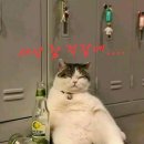 부부치킨 이미지