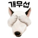 펫살롱지니 이미지