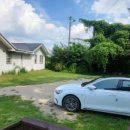 제부포레스트 이미지