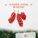 커피빈스(전곡점)