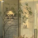 본비필라테스 | [영등포역 필라테스] 모델비필라테스, 영등포시장 필라테스 1:1 후기