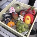 [부산 대연동 맛집] 프리미엄 과일로 만든 탕후루 컵과일 과일담 대연점