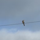 곡성-103 이미지